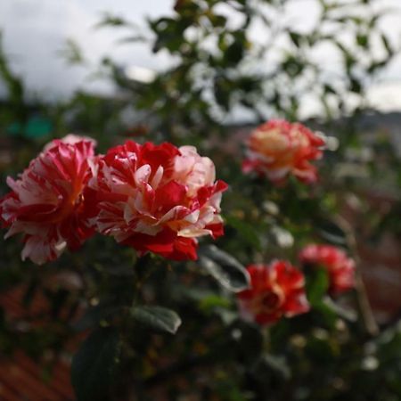 Homestay Doc Tinh Da Lat Exterior photo