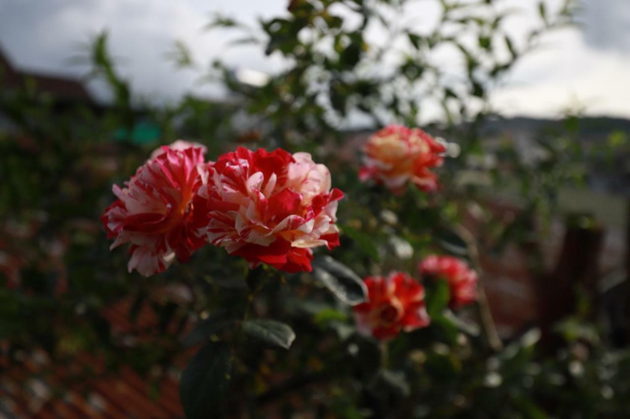 Homestay Doc Tinh Da Lat Exterior photo